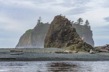 Washington 'daki Ruby Beach' te kara oluşumları.