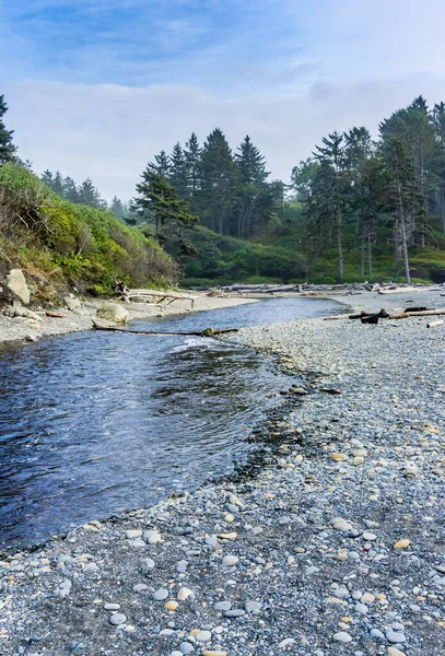 Torrente Scorre Verso Ruby Beach Nello Stato Washington — Foto Stock