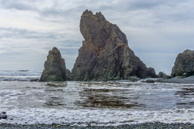 Washington 'daki Ruby Beach' te doğal bir kaya taşı taşı..