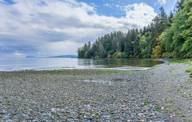 Washington eyaletindeki Pillar Point 'teki kıyı şeridi manzarası.