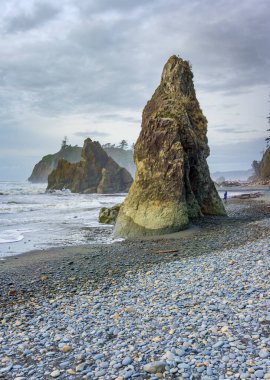 Washington 'daki Ruby Beach' te doğal bir kaya taşı taşı..