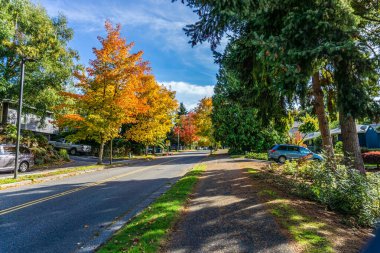 Burien, Washington 'daki Seahurst Park yakınlarında sonbahar renkleri.