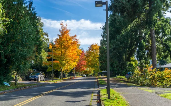 Fall Colors Road Seahurst Park Burien Washington — Stock Photo, Image