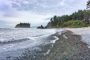 Washington 'daki Ruby Beach' in panorama çekimi..