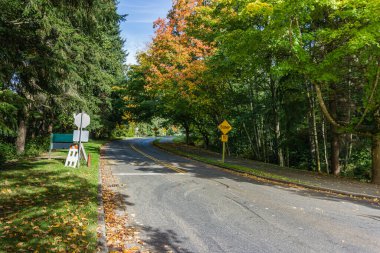 Burien, Washington 'daki Seahurst Park yakınlarında sonbahar renkleri.