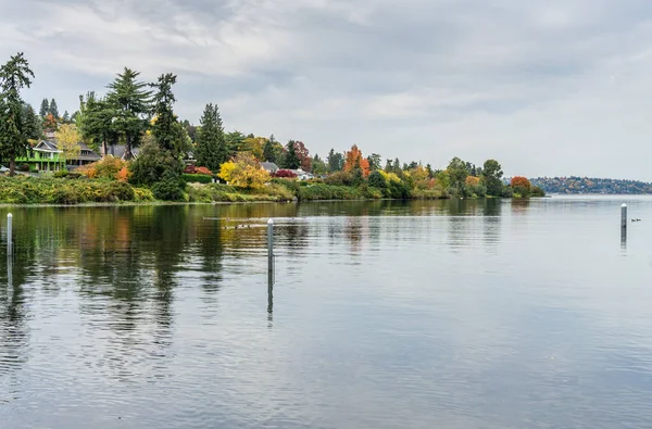 Hösten Färger Sin Topp Längs Lake Washington Seattle — Stockfoto