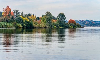 Seattle 'daki Washington Gölü boyunca sonbahar renkleri zirvede..
