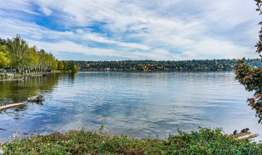 Mercer Adası, Washington 'da ev ve sonbahar rengi.