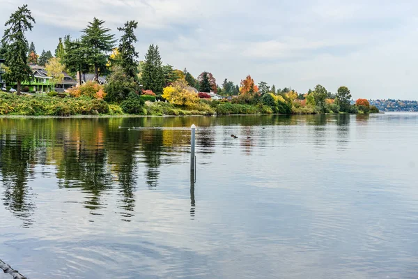 Los Colores Otoño Están Apogeo Largo Del Lago Washington Seattle — Foto de Stock