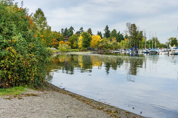 Árvores Outono Alinham Costa Perto Uma Marina Seattle Washington — Fotografia de Stock
