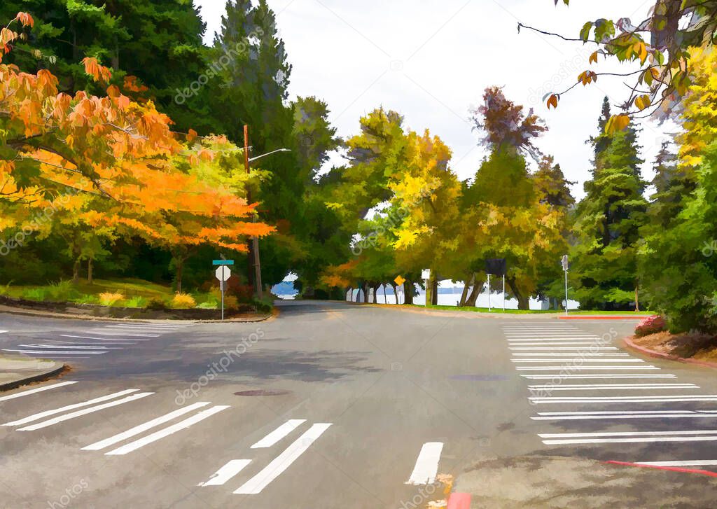 The road at Seward Park in Seattle in autumn.