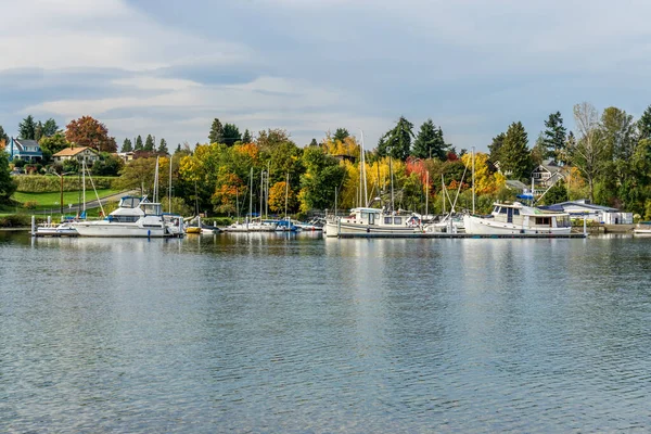 Bir Wasington Gölü Marinası Seattle Washington Renkli Sonbahar Ağaçları — Stok fotoğraf