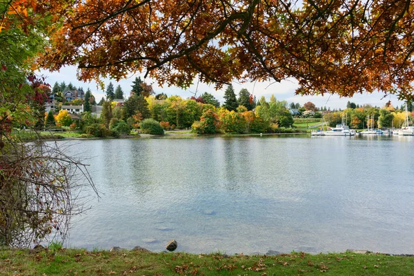 Lake Washington Shoreline Autumn Seattle — Stock Photo, Image