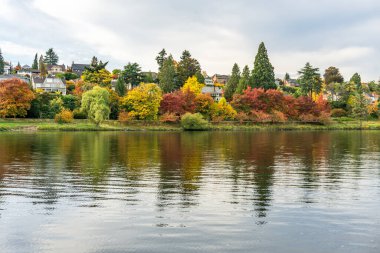 Evler sonbaharda Seattle 'da Washington Gölü kıyısında..