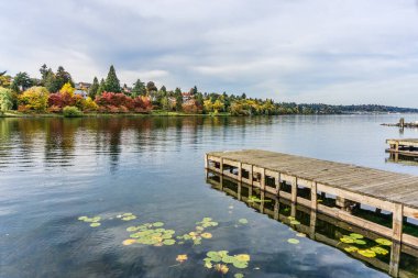 Sonbaharda Seattle 'daki Washington Gölü boyunca rıhtım ve evler..