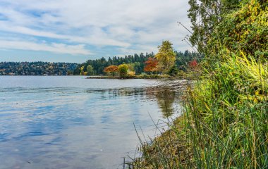 Seattle 'daki Washington Gölü kıyılarında sonbahar renkleri ve pürüzsüz su.