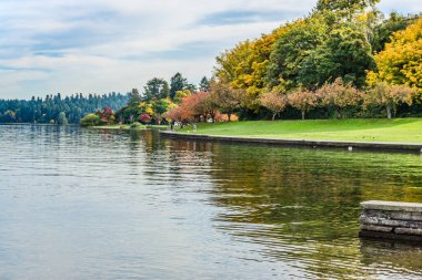 Sonbaharda Washington Gölü kıyısında bir yürüyüş yolu..