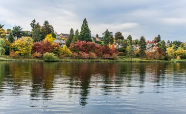 Evler sonbaharda Seattle 'da Washington Gölü kıyısında..