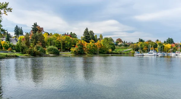 Ein Jachthafen Wasington See Und Bunte Bäume Seattle Washington — Stockfoto