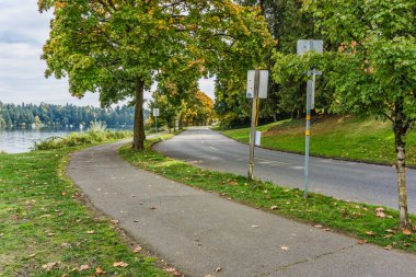 Seattle, Washington 'da sonbahar ağaçları bir caddeye dizilmiştir..