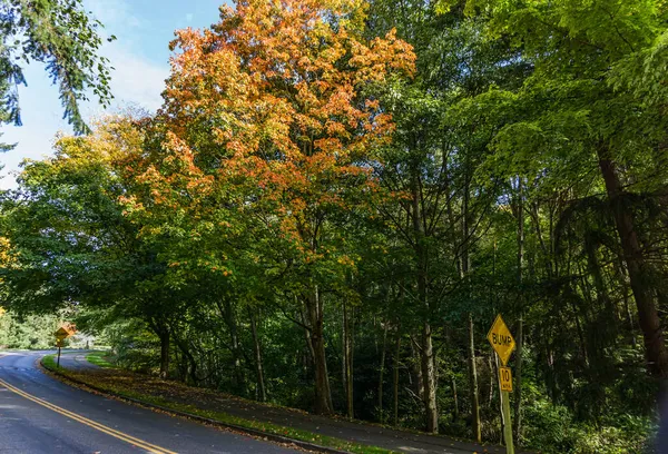 Podzimní Barvy Silnici Poblíž Seahurst Park Burien Washington — Stock fotografie