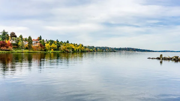 Hem Linje Stranden Lake Washington Seattle Höst — Stockfoto