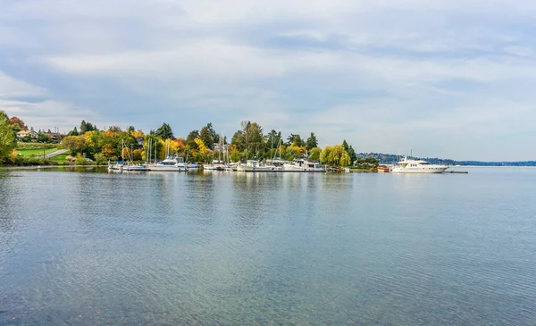 Przystań Lake Wasington Kolorowe Jesienne Drzewa Seattle Waszyngton — Zdjęcie stockowe