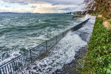 Batı Seattle, Washington 'da deniz kıyılarına saldırır..