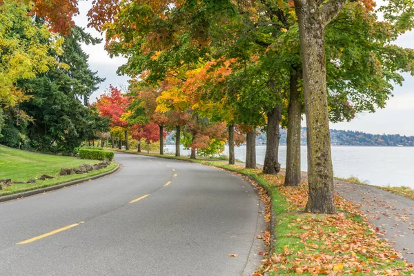 Bardzo Kolorowe Jesienne Drzewa Wzdłuż Brzegu Jeziora Waszyngton Seattle — Zdjęcie stockowe