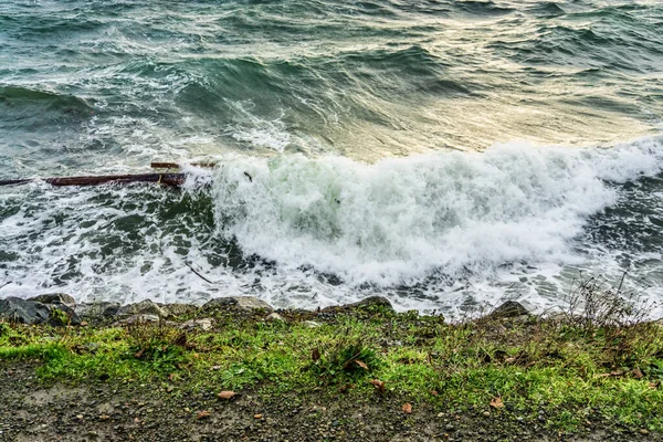 海水袭击了华盛顿州西西雅图的海岸线 — 图库照片
