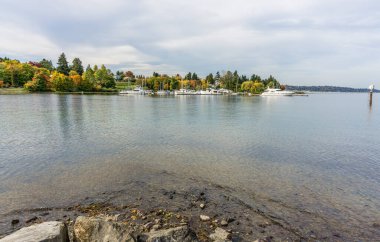 Bir Wasington Gölü marinası ve Seattle, Washington 'da renkli sonbahar ağaçları..