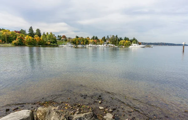 Uma Marina Lake Wasington Árvores Queda Coloridas Seattle Washington — Fotografia de Stock