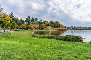 Seattle 'da Washington Gölü kıyısında sonbahar ağaçları var..