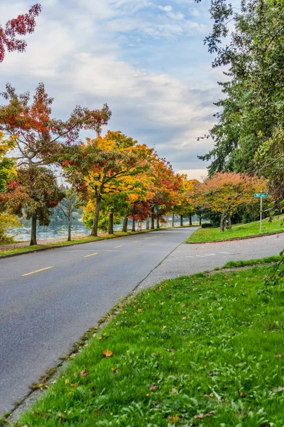 Jesienne Drzewa Brzegu Jeziora Waszyngton Seattle — Zdjęcie stockowe