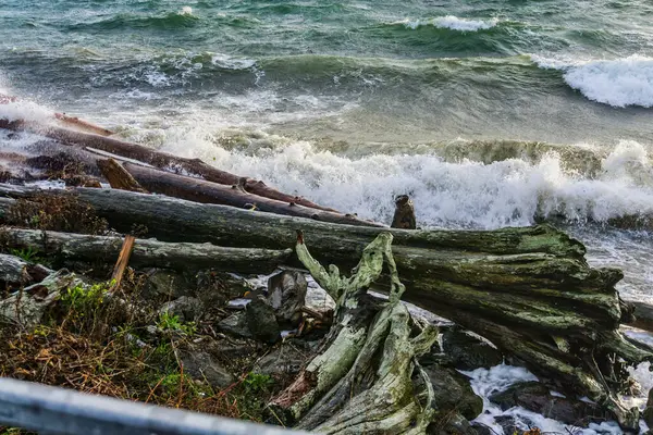 Fırtınalı Bir Günde Batı Seattle Washington Dan Puget Sound Manzarası — Stok fotoğraf