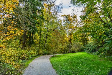 Seatle 'deki Wasington Park Botanik Bahçesi' nde bir patika. Sonbahar sezonu..