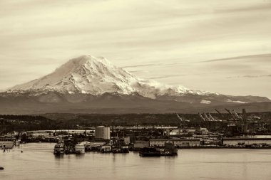 Washington 'daki Tacoma Limanı ve Rainier Dağı..