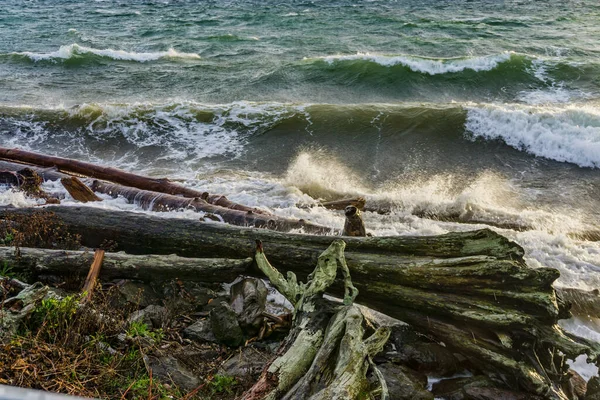 Pohled Puget Sound Západního Seattlu Washingtonu Bouřlivého Dne — Stock fotografie