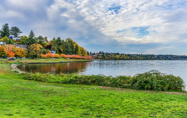 Árvores Outono Alinham Costa Lago Washington Seattle — Fotografia de Stock