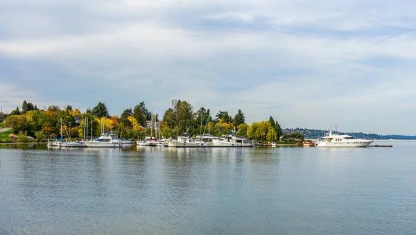 Пристань Яхт Красочные Осенние Деревья Сиэтле Штат Вашингтон — стоковое фото