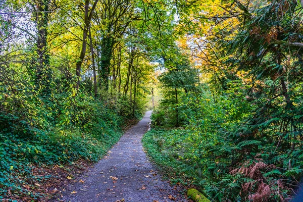 Stezka Wasington Park Arboretum Seattlu Podzimní Období — Stock fotografie