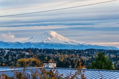 Des Moines, Washington 'dan Rainier Dağı manzarası.