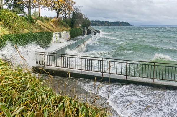 海水袭击了华盛顿州西西雅图的海岸线 — 图库照片