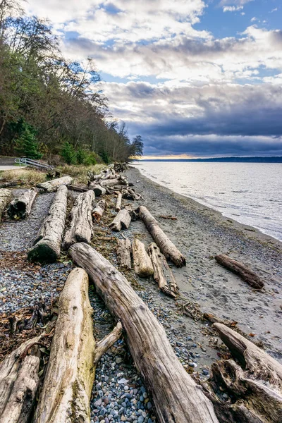 Winter Driftwood Shoreline Burien Washington — Stok Foto