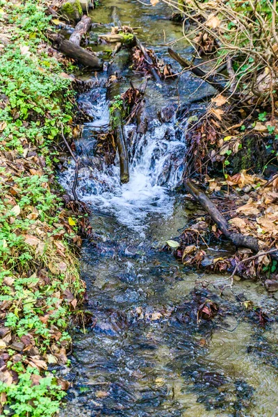 Small Meandering Stream Burine — Fotografia de Stock