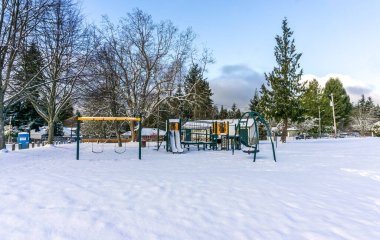 Washington, Burien 'de bir parkı kar örtüyor.