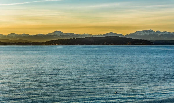 Sebuah Matahari Terbenam Dengan Pegunungan Olimpiade Puget Sound — Stok Foto