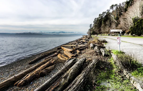 Une Vue Panoramique Rivage Lincoln Park West Seattle Washington — Photo