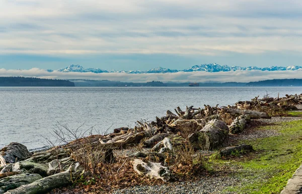 Berg Reser Sig Över Puget Sound Washington State — Stockfoto