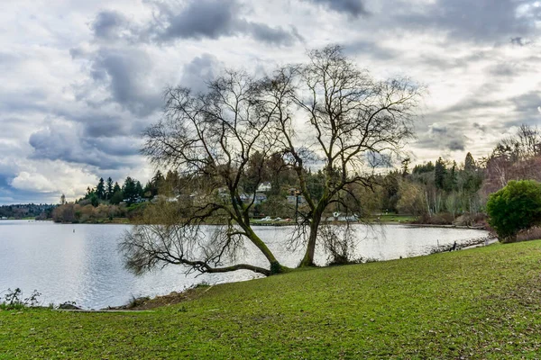 Uma Vista Costa Longo Lago Washington Seattle — Fotografia de Stock